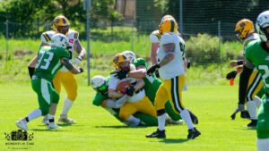 Upper Styrian Rhinos vs. Woodquarter Wolves